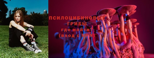 2c-b Лиски