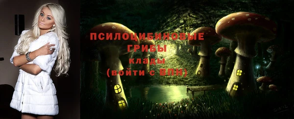 а пвп мука Липки