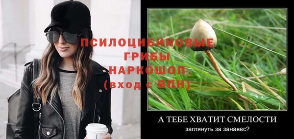 а пвп мука Липки