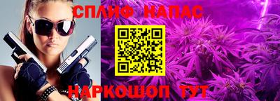 гидропоника Гусь-Хрустальный