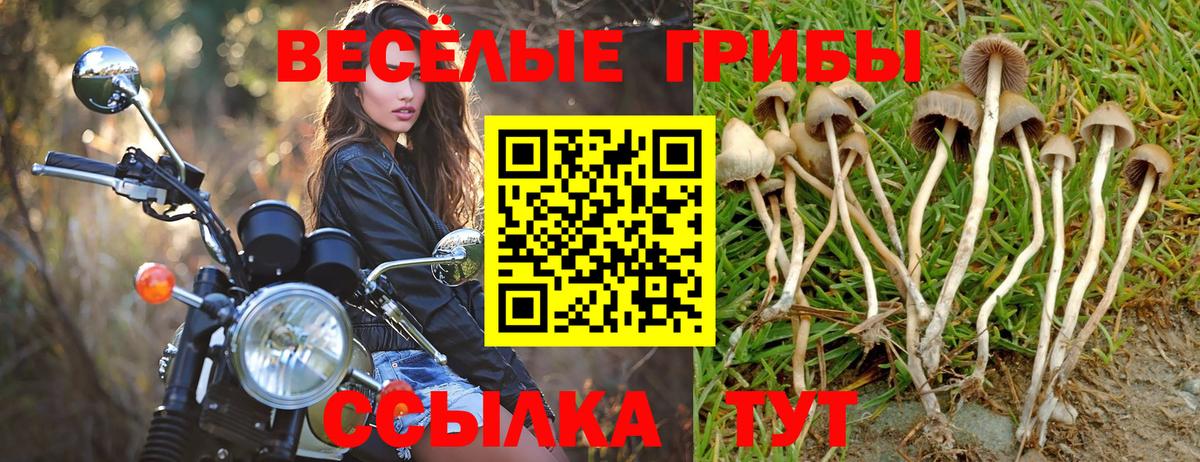 Галлюциногенные грибы Magic Shrooms Армавир